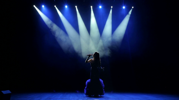 videoblocks-silhouette-of-a-beautiful-girl-on-stage-with-concert-lighting-in-a-beautiful-evening-dress-the-beautiful-singer-sings-on-stage-in-the-dark_him5ttj-f_thumbnail-full01